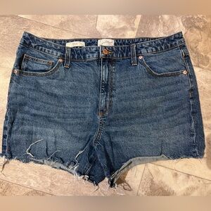 Universal Thread Blue Denim Shorts